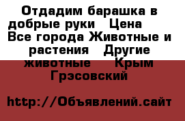 Отдадим барашка в добрые руки › Цена ­ 1 - Все города Животные и растения » Другие животные   . Крым,Грэсовский